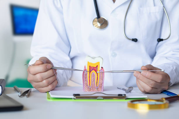 Reliable MI Emergency Dental Service Solutions